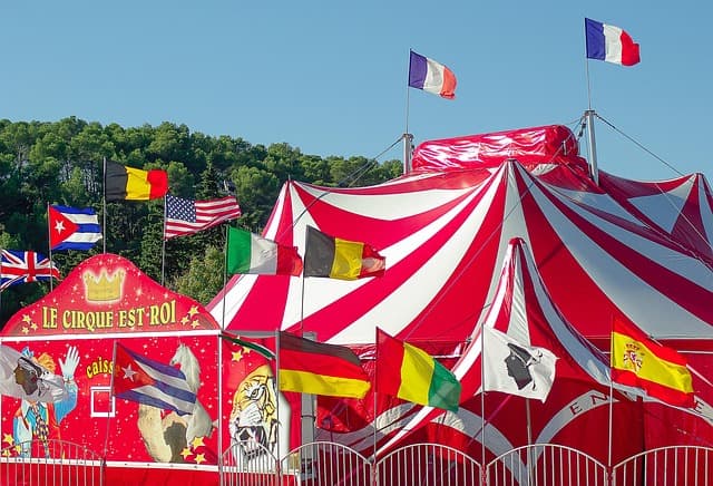 Image 1 : Suzanne : une histoire du cirque background