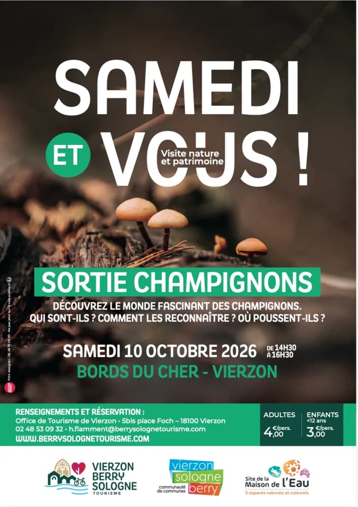 Image 1 : Samedi et vous ! Sortie champignons background