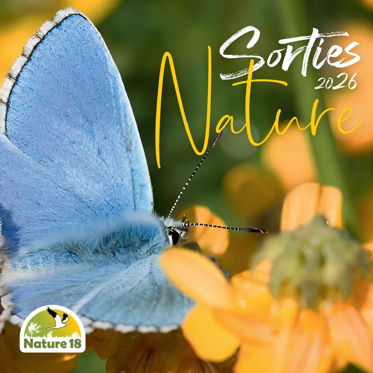 Image 1 : Sortie Nature : J'agis pour la Nature background