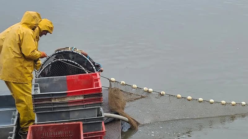 Image 1 : Découverte commentée d'une pêche d'étang background