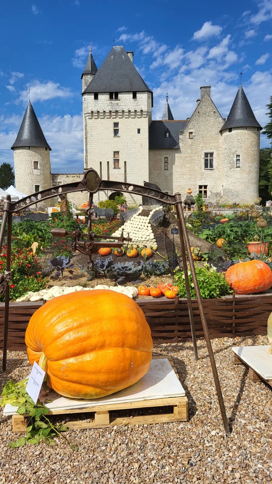 Image 4 : Fête de la citrouille et de l'automne au Château du Rivau background