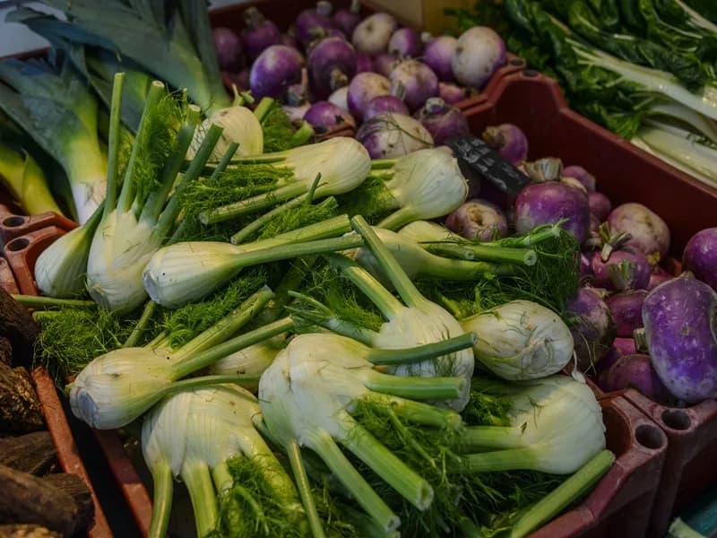 Image 1 : Marché hebdomadaire background