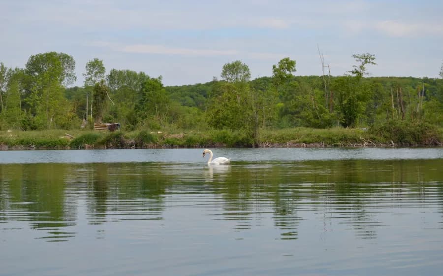 Image 1 : Ecorando à Vert-en-Drouais background