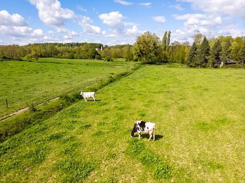 Image 1 : Fête de l'agriculture paysanne de Touraine background