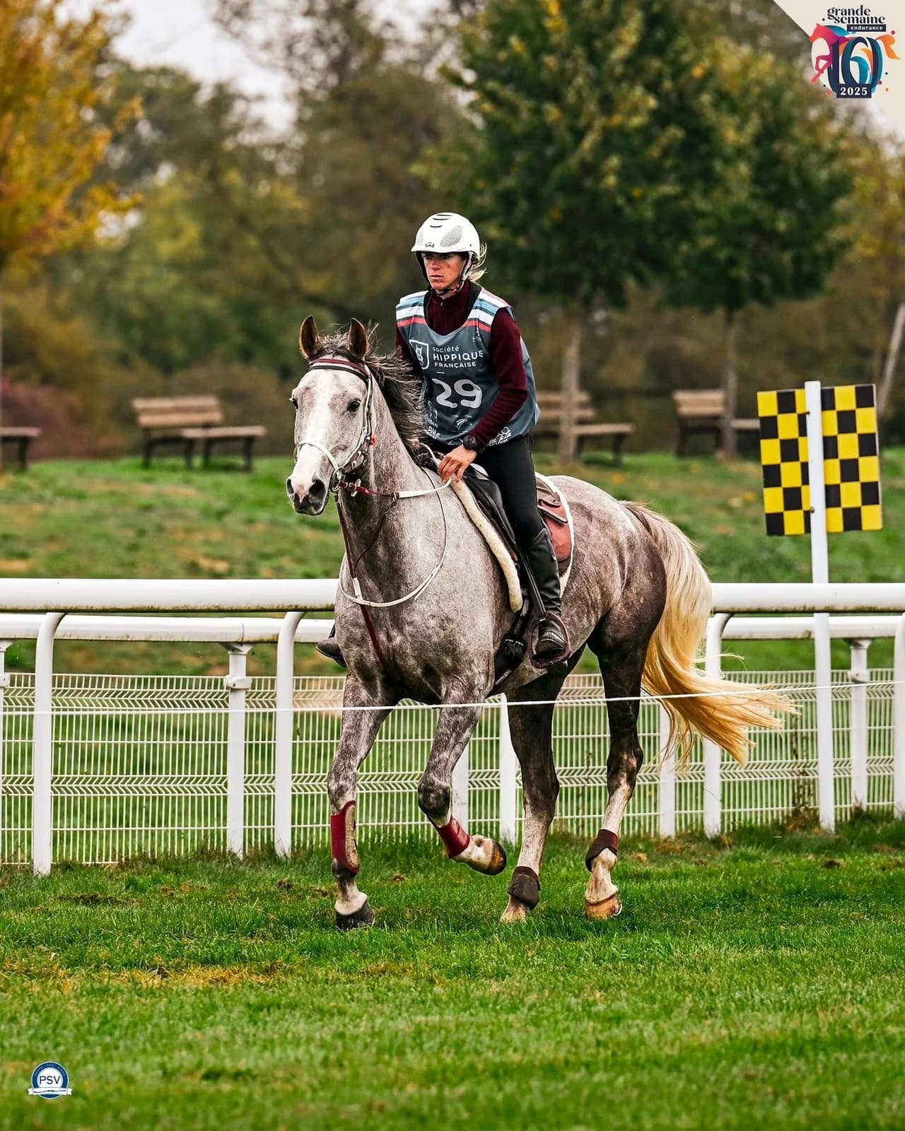 Image 2 : Finale nationale jeunes chevaux d’endurance background