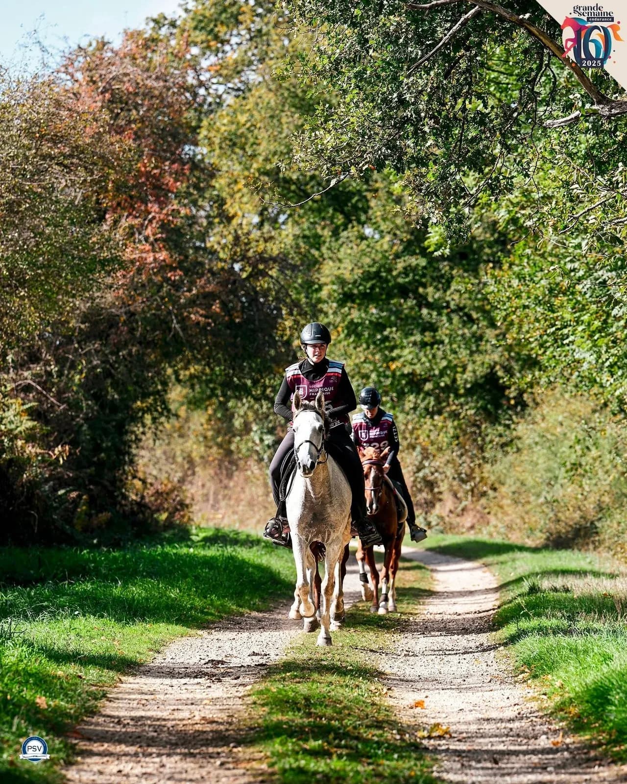 Image 3 : Finale nationale jeunes chevaux d’endurance background