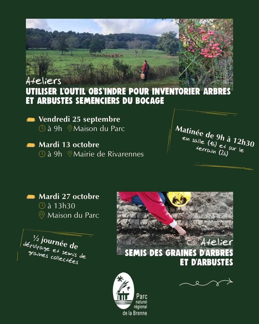 Image 1 : Apprendre à utiliser l’outil Obs’Indre pour inventorier des arbres et arbustes semenciers du bocage, récolte de leurs graines background
