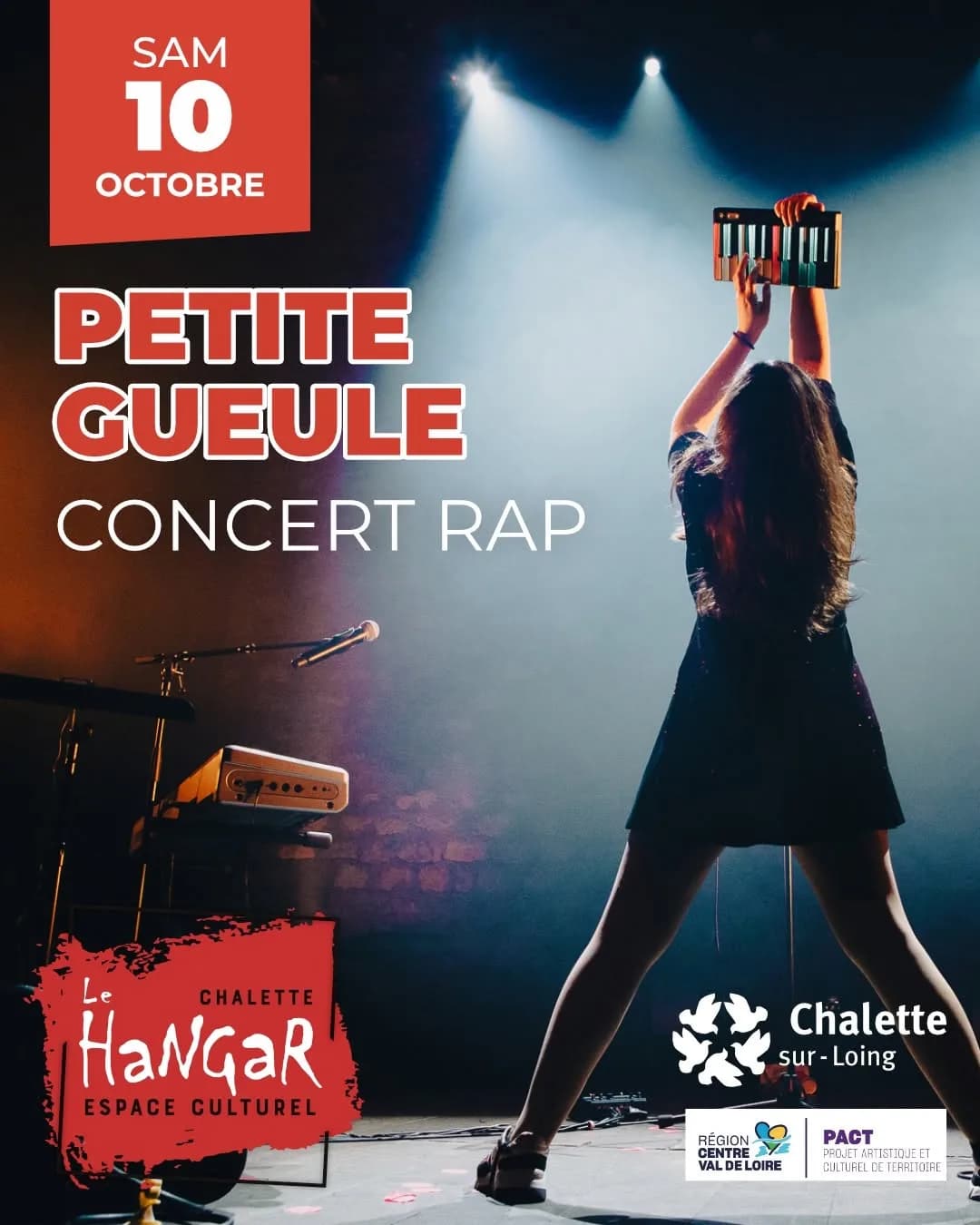 Image 1 : Concert rap : Petite gueule background