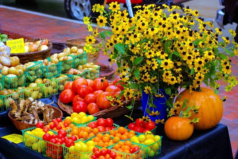 Image 2 : Marché de producteurs et artisans background