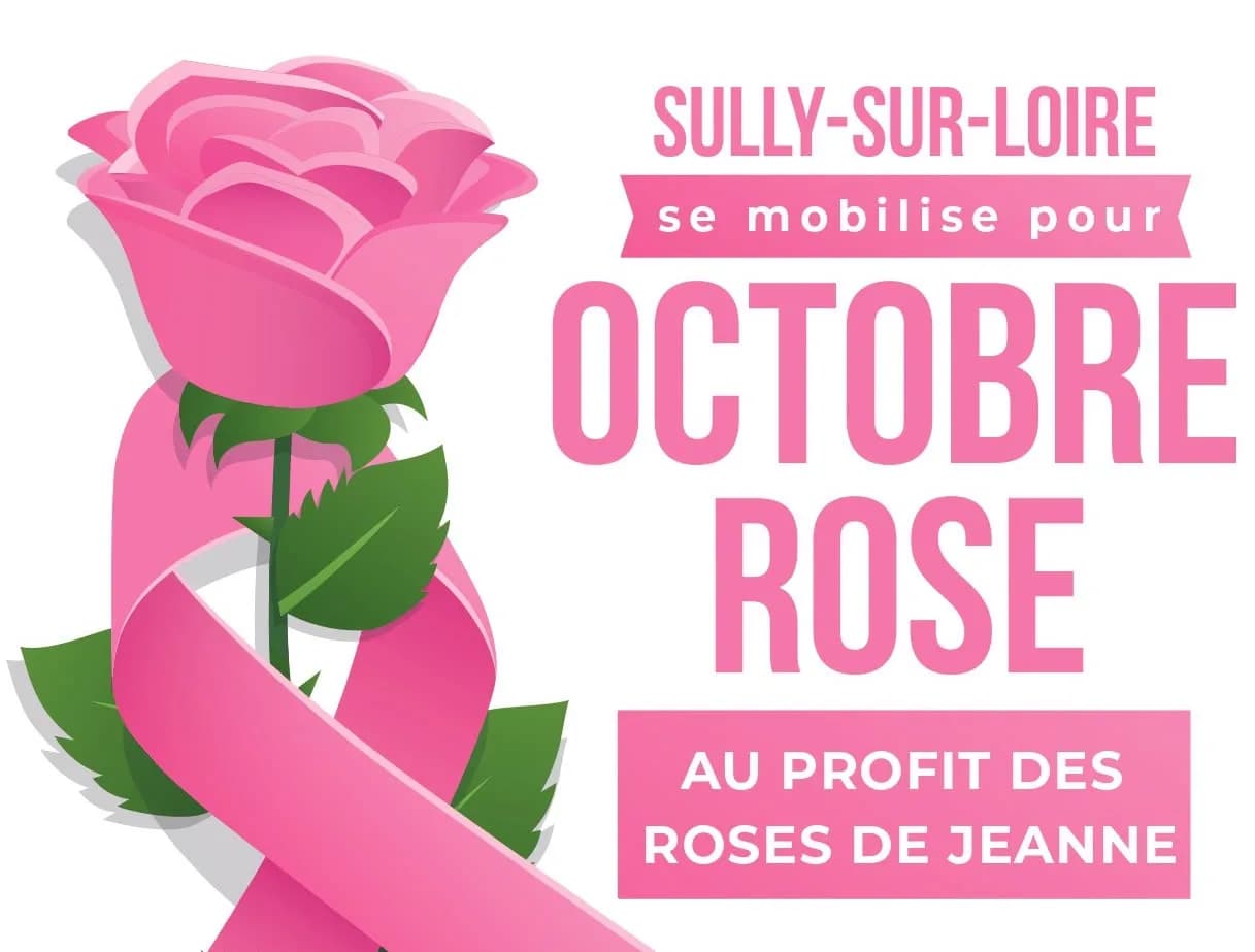 Image 1 : Sully sur Loire se mobilise pour Octobre Rose background