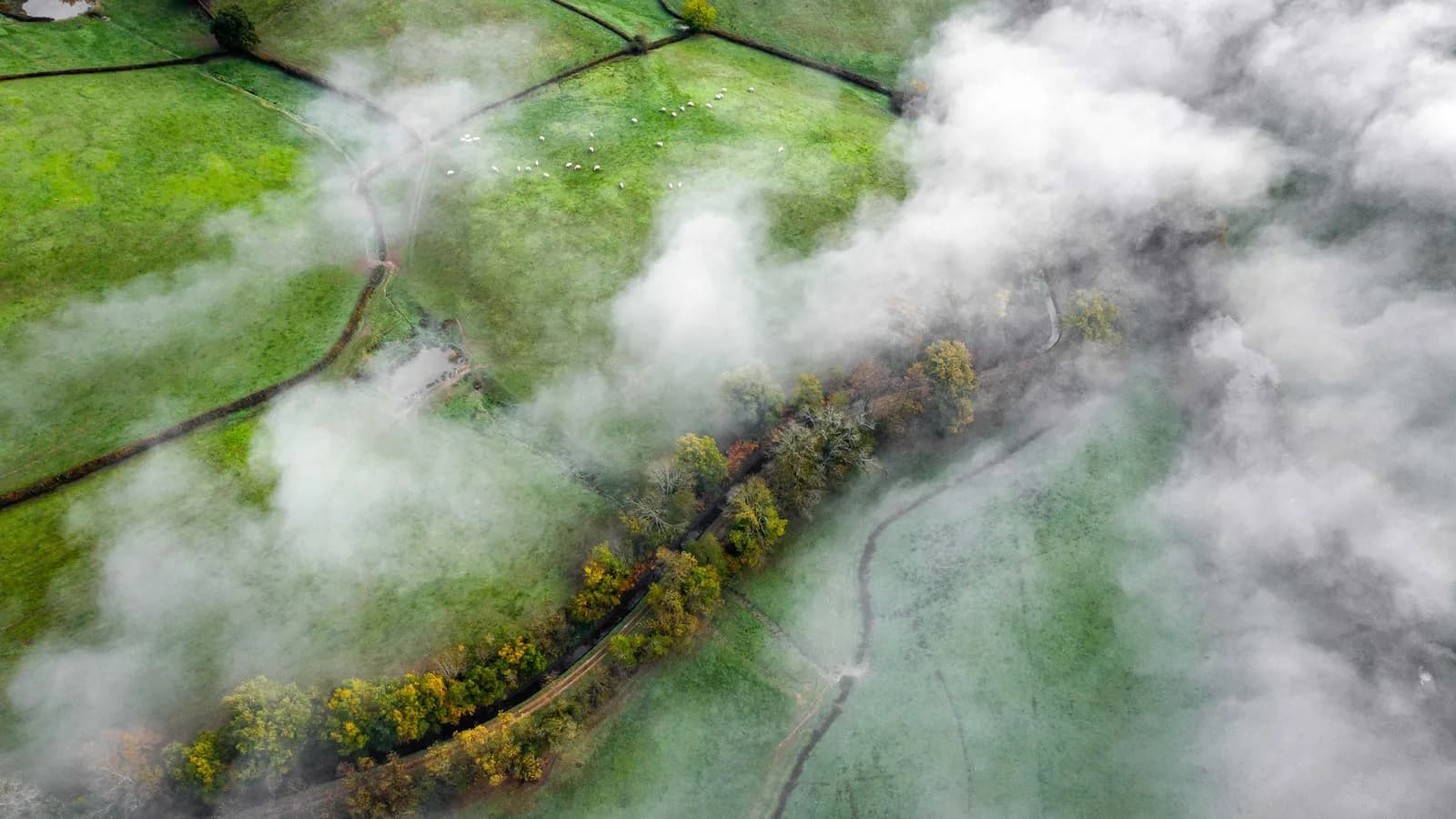Image 1 : Exposition et conférence sur le climat background