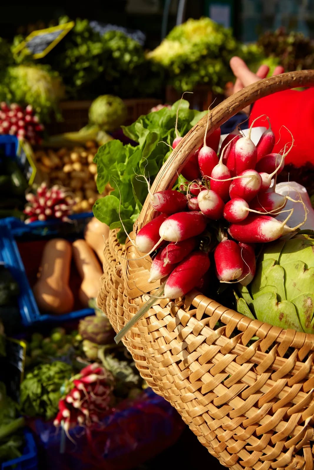 Image 1 : Marché de Nolay background