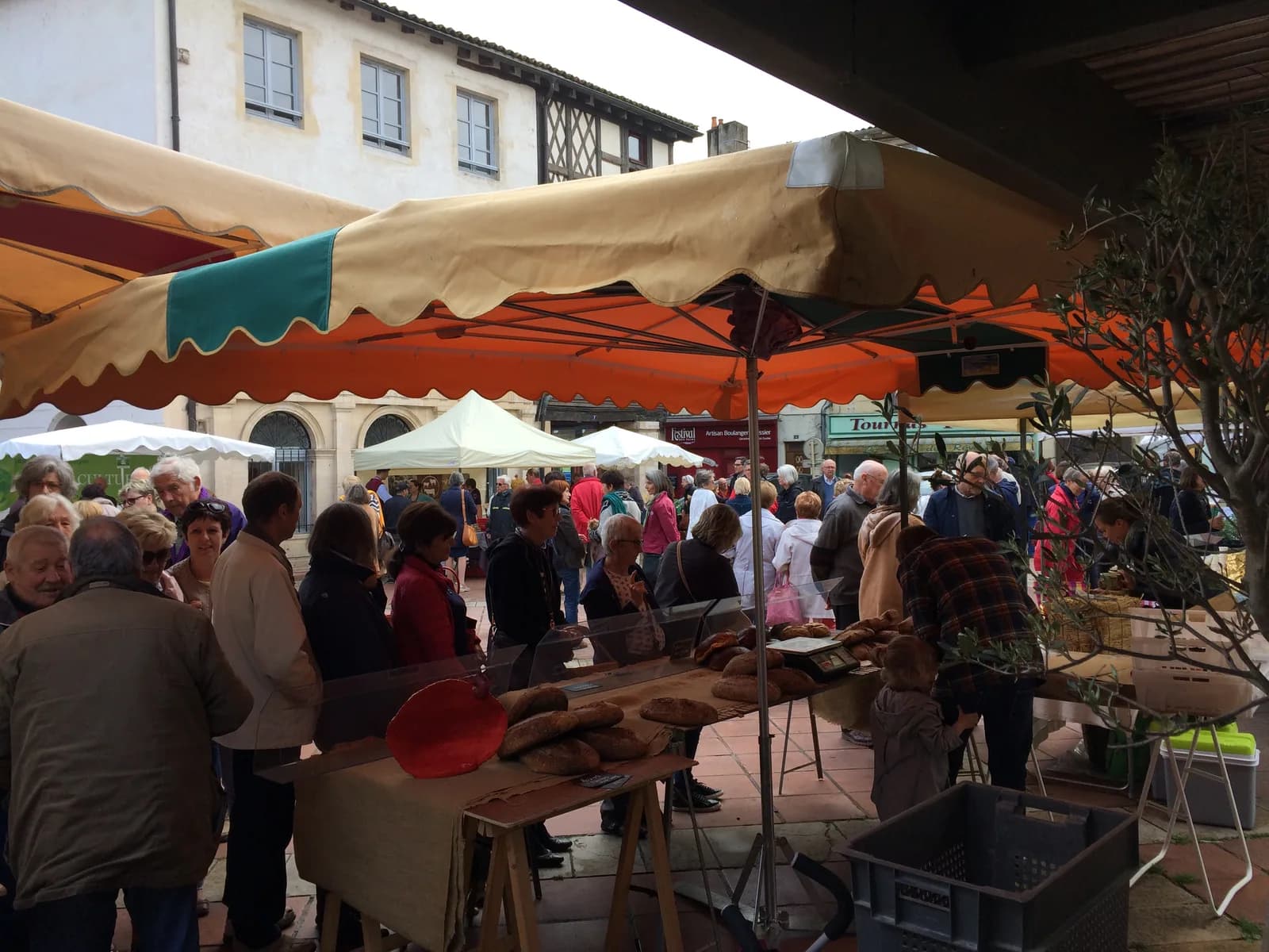 Image 1 : Marché de Producteurs Locaux background