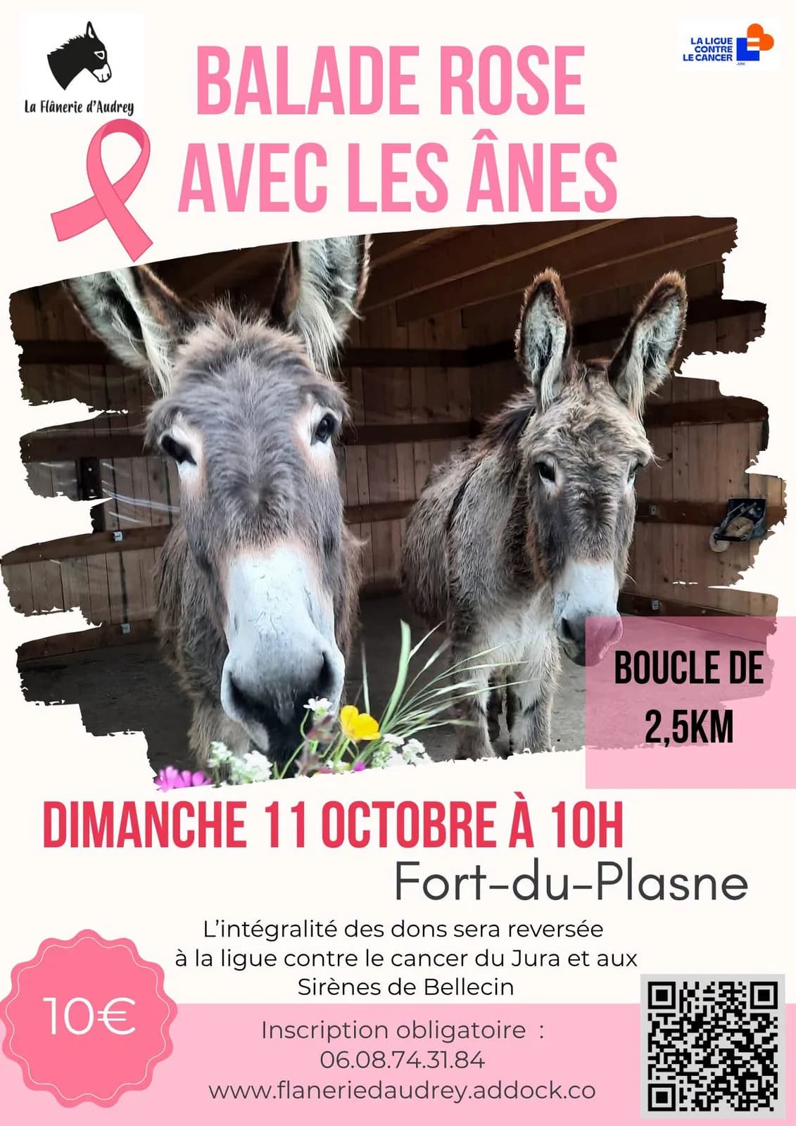 Image 1 : Balade rose avec les ânes background