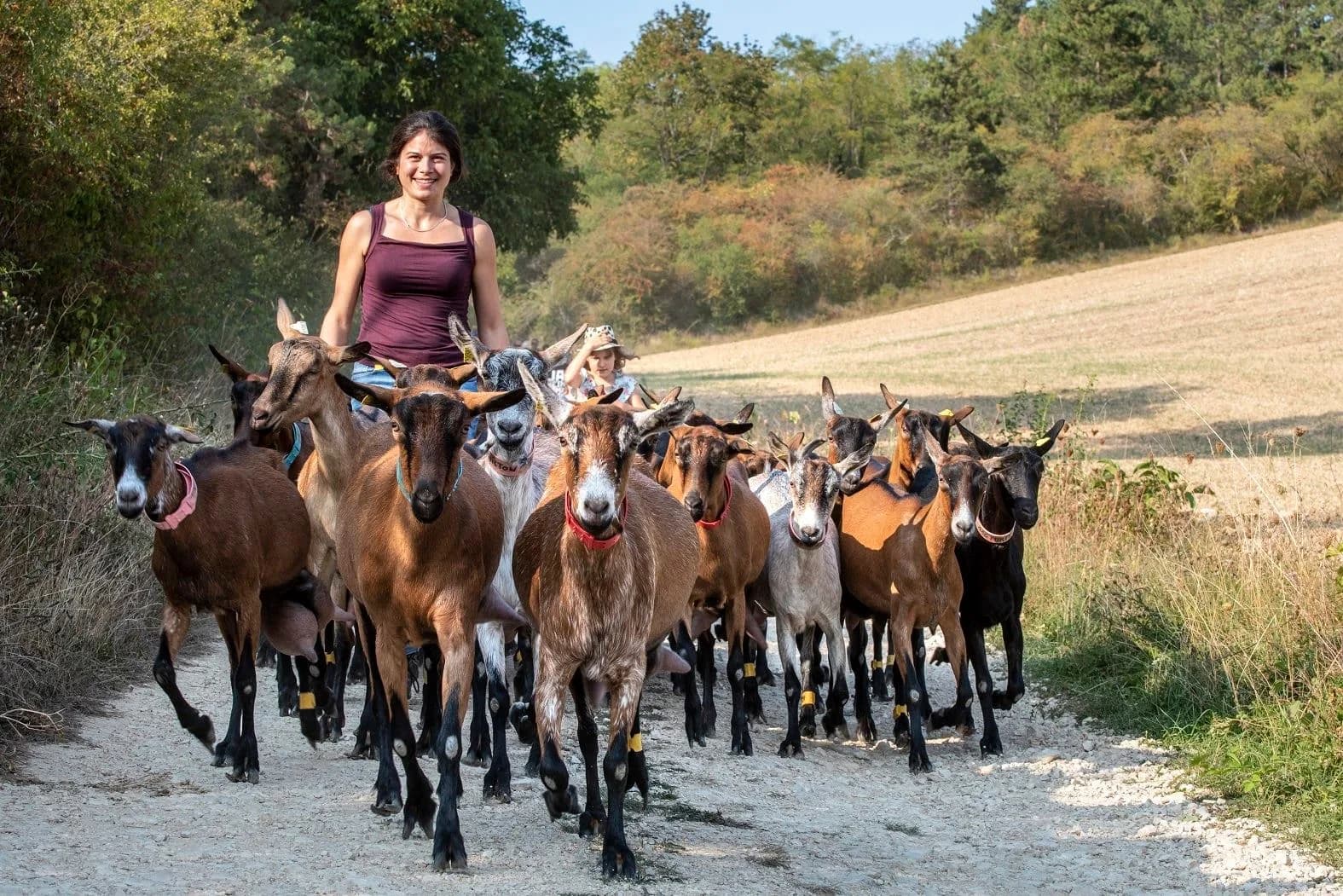 Image 1 : Balade avec les biquettes background