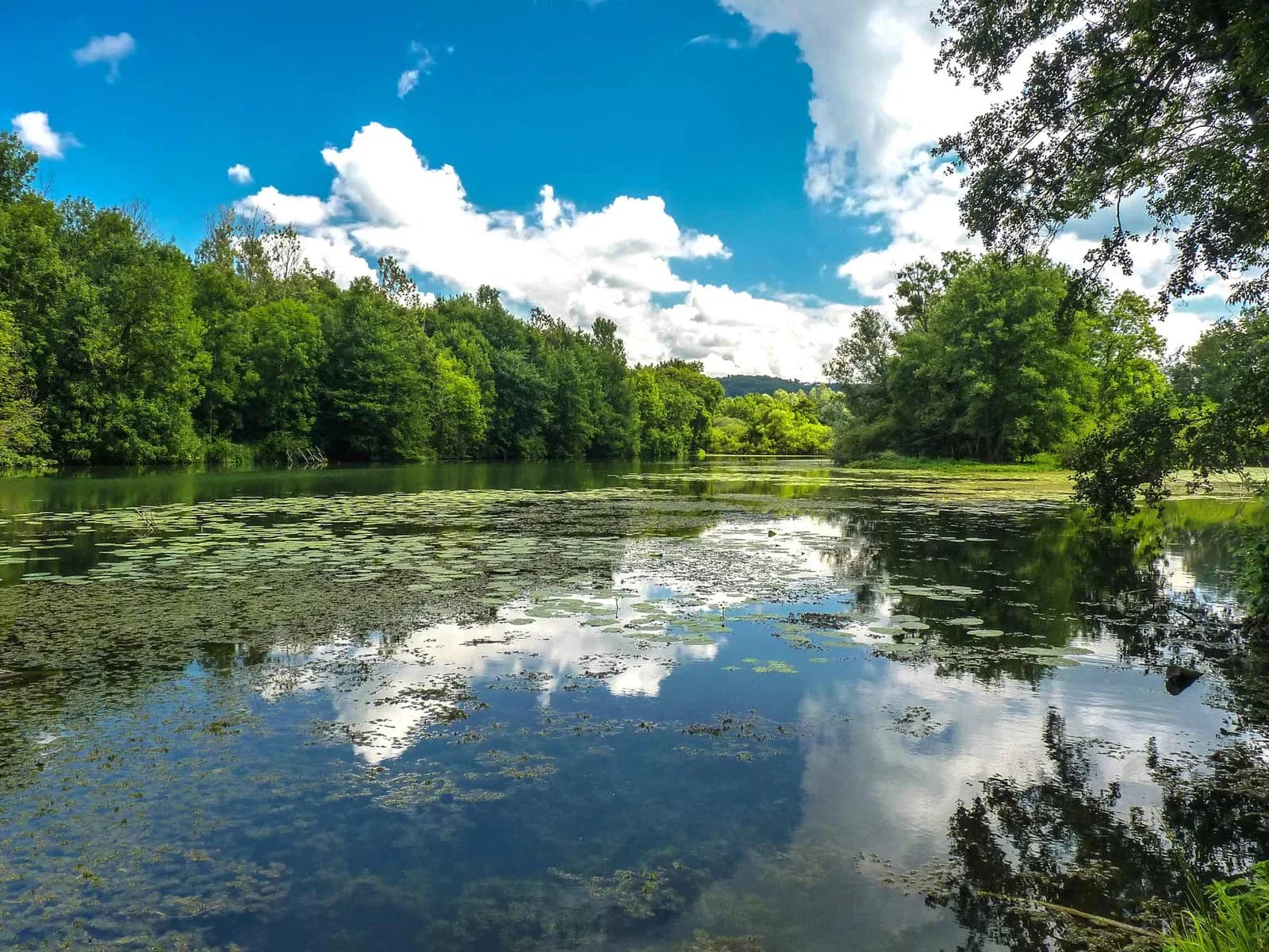 Image 1 : Le Marais de Saône background