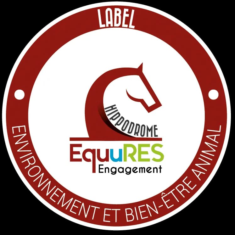Image 1 : Courses hippiques - Tout galop background