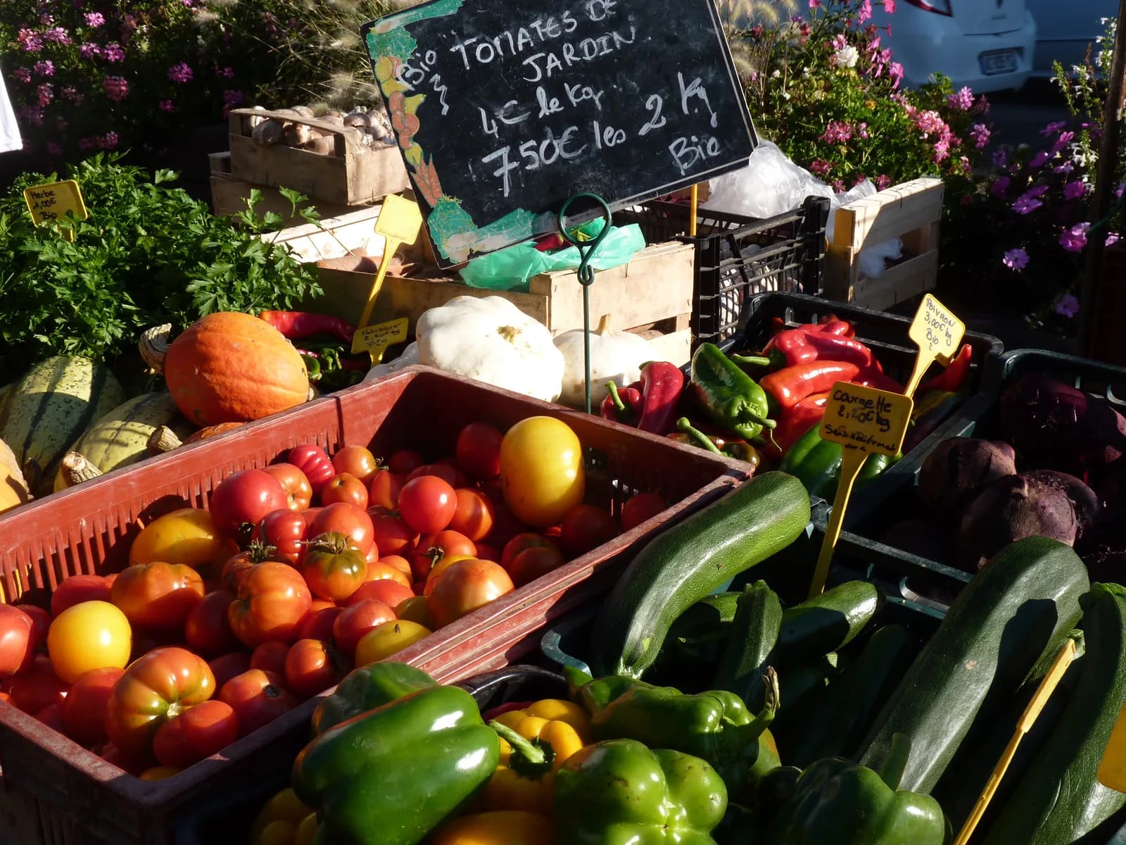 Image 1 : Marché éco-responsable et pêcheurs background
