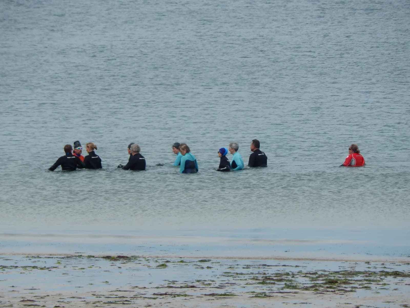 Image 1 : Marche aquatique côtière background