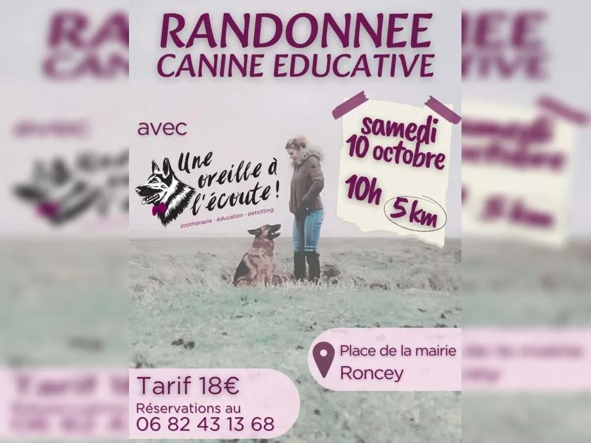 Image 1 : Randonnée canine éducative background