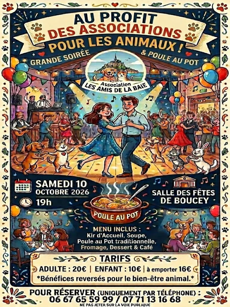 Image 1 : Soirée dansante au profit de la cantine des patounes background
