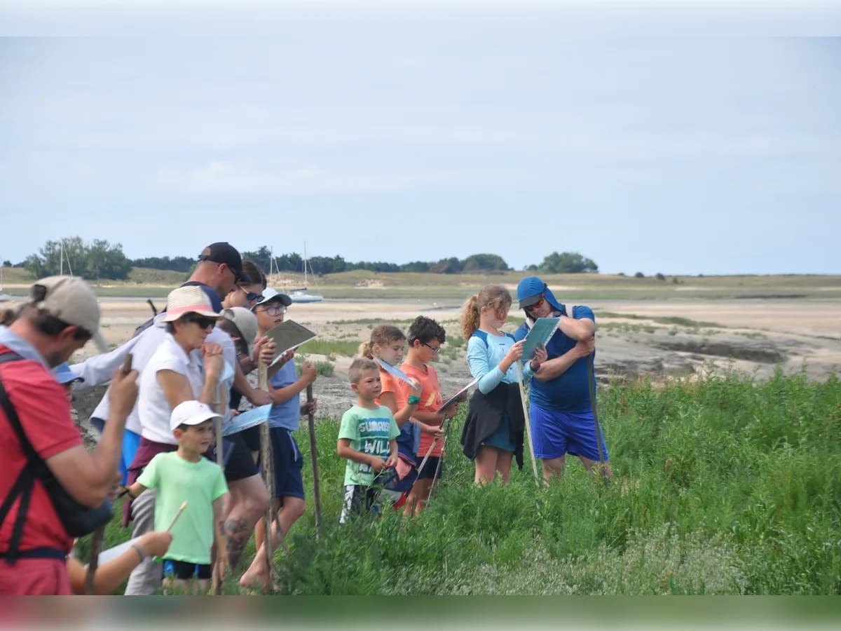 Image 1 : Traversée du havre de la Sienne background