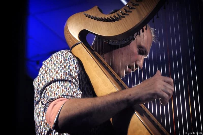 Image 1 : Les Rencontres du Numérique : Concert - Trip harp background