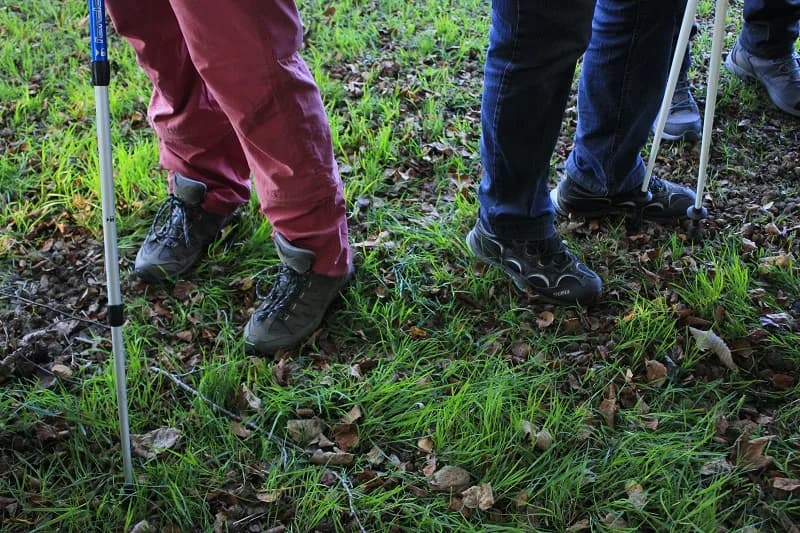 Image 1 : Bocage en baskets background