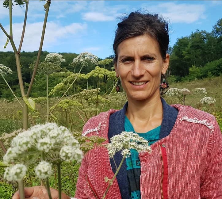 Image 1 : Ateliers "avec les plantes" background