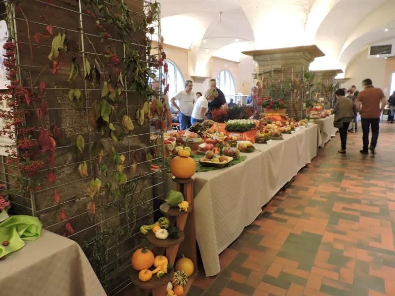 Image 1 : Fête du raisin - Expositions background