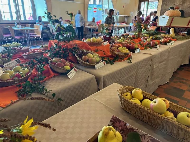 Image 2 : Fête du raisin - Expositions background