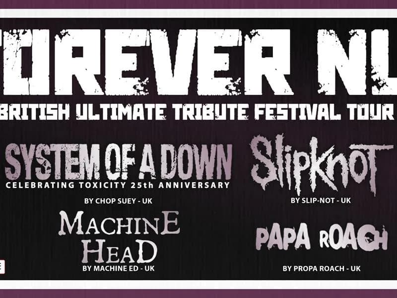 Image 1 : Concert Forever Nu! - Chez Paulette background