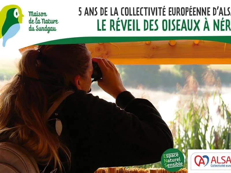 Image 1 : Le réveil des oiseaux à Nérac - 5 ans de la Collectivité européenne d'Alsace background