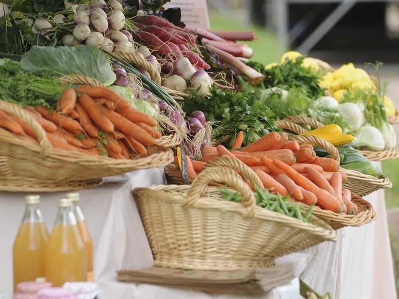 Image 1 : Marché paysan background