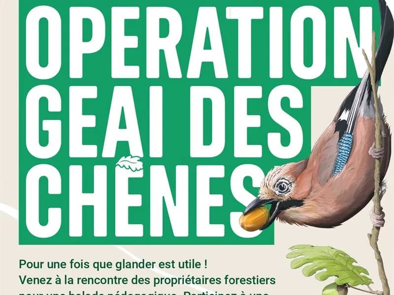 Image 1 : Opération Geai des chênes background