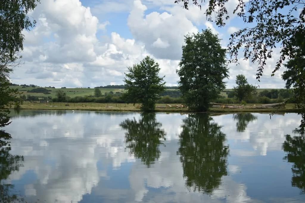 Image 1 : Rando nature background