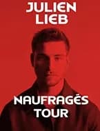 Image 1 : Concert de JULIEN LIEB background