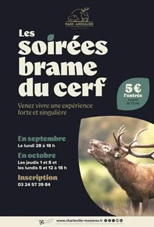 Image 2 : Les soirées brame du cerf background