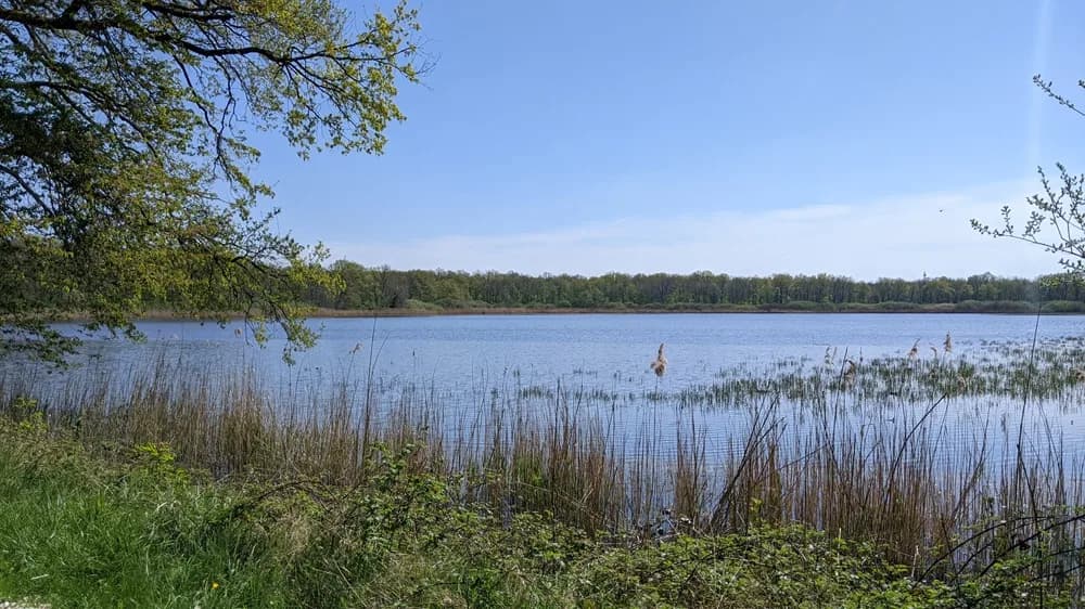 Image 2 : À la découverte de la faune automnale de l'étang de Ramerupt background