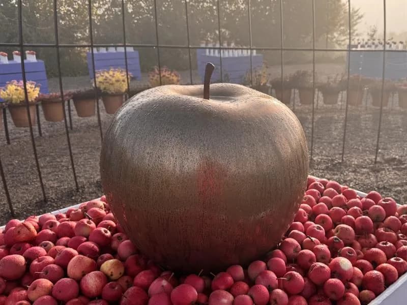 Image 1 : Fête des Jardins & des Saveurs 2026 background