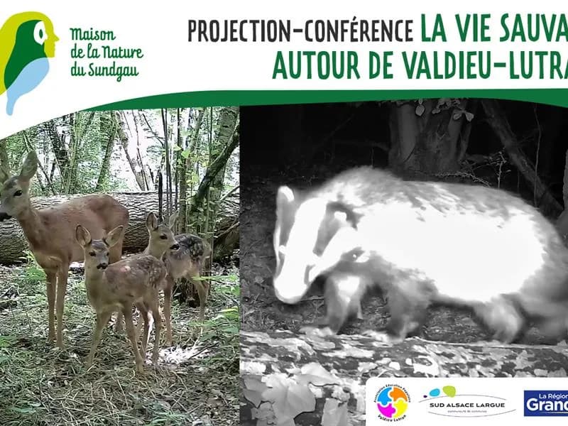 Image 1 : Projection - conférence : La vie sauvage autour de Valdieu-Lutran background