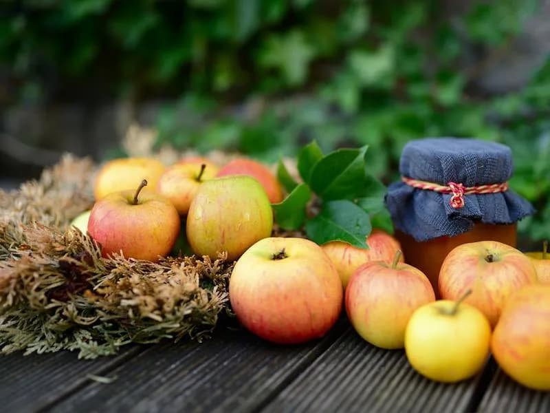 Image 1 : Exposition de fruits de nos vergers background