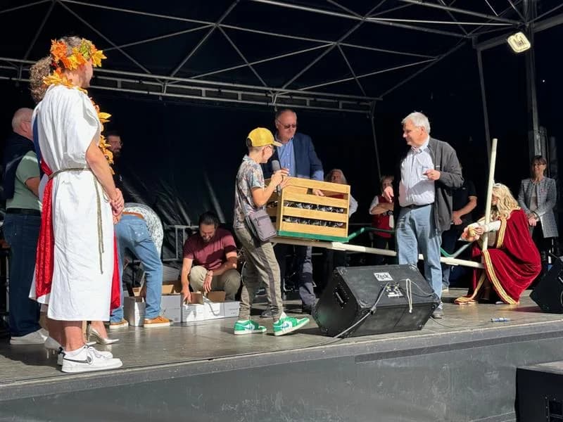 Image 1 : Fête du raisin - Bal des vendanges et election de la reine background