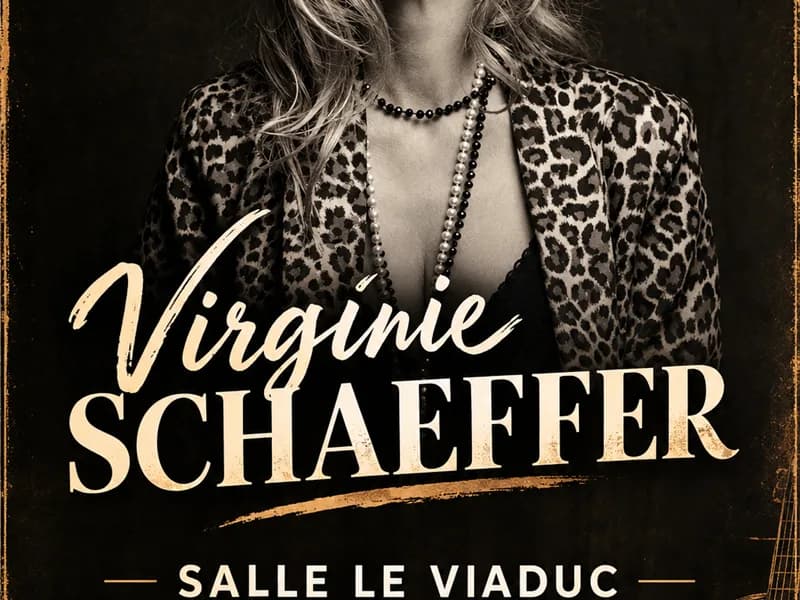 Image 1 : Virginie Schaeffer en concert background