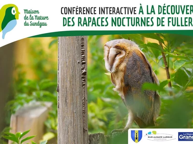 Image 1 : Conférence interactive à la découverte des rapaces nocturnes à Fulleren background