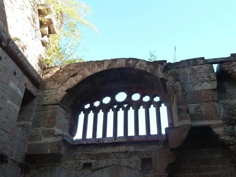 Image 1 : Visite guidée du château de la Wasenbourg background