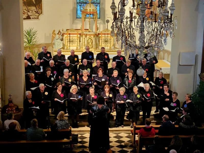Image 1 : Festival de l'orgue STIEHR : Org'felden background