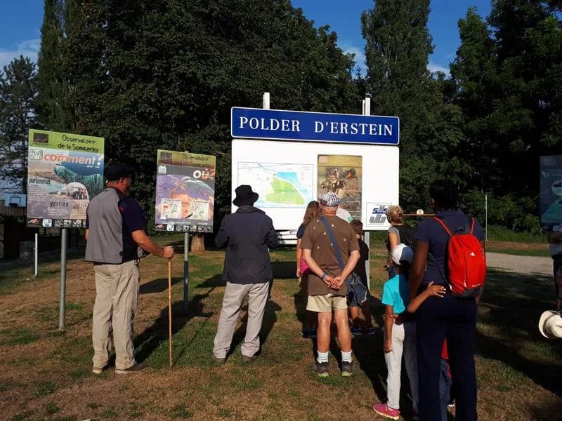 Image 1 : Visite guidée à la Réserve naturelle nationale de la Forêt d’Erstein background