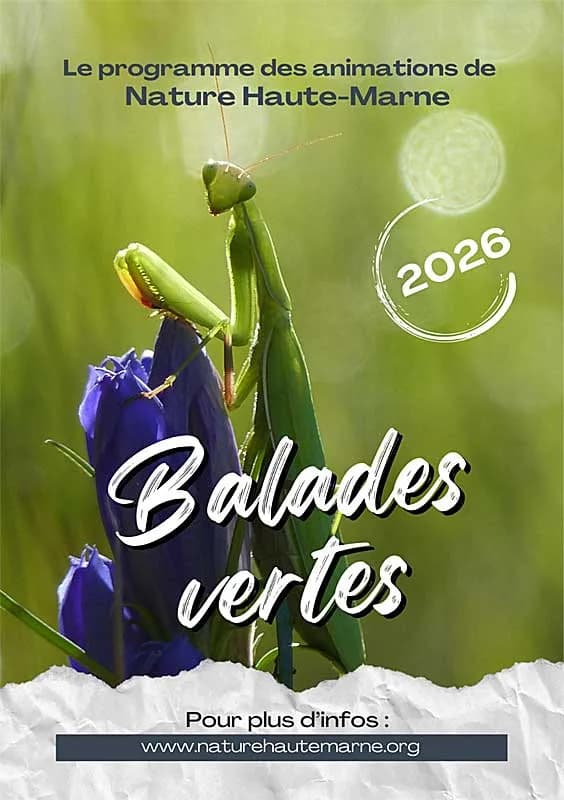 Image 1 : Balades Vertes en Haute-Marne : Une vie de Cincle ! background