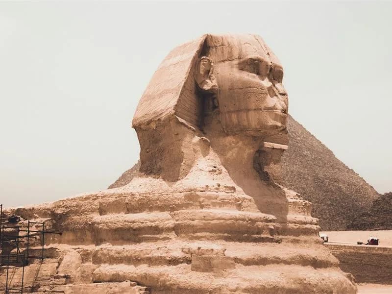 Image 1 : L'Egypte de Napoléon background